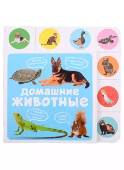 Домашние животные