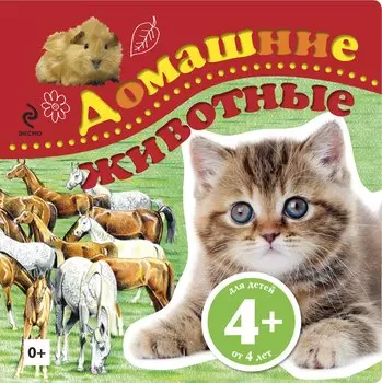 Домашние животные