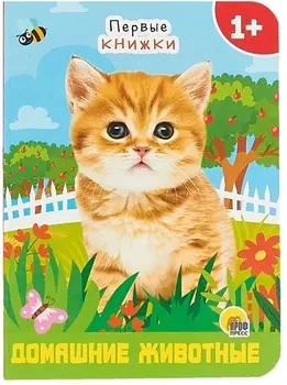 ЦК МИНИ. ДОМАШНИЕ ЖИВОТНЫЕ