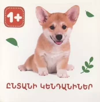 Домашние животные (на армянском языке)