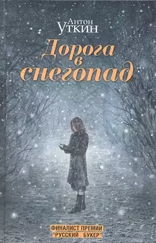 Дорога в снегопад
