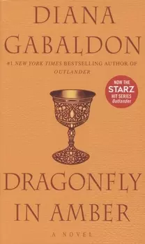 Dragonfly in Amber