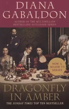 Dragonfly In Amber Book 2