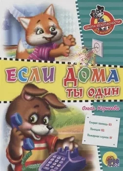 ЦК. ШКОЛА БЕЗОПАСНОСТИ. ЕСЛИ ДОМА ТЫ ОДИН