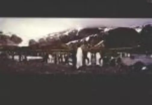 Фотоальбом Дикая природа