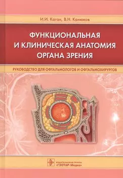 Функциональная и клиническая анатомия органа зрения.