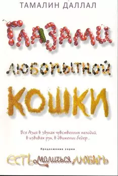 Глазами любопытной кошки