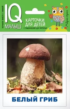 Грибы наших лесов. Карточки для детей с подсказками для взрослых