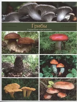 Грибы Справочник-определитель