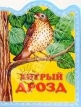 Хитрый дрозд Русская народная сказка