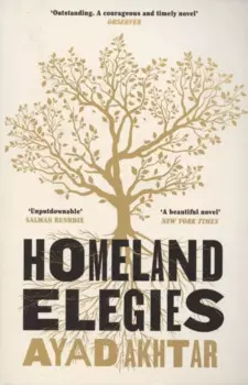 Homeland Elegies