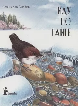 Иду по тайге