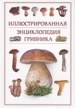 Иллюстрированная энциклопедия грибника.