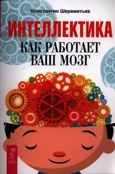 Интеллектика Как работает ваш мозг