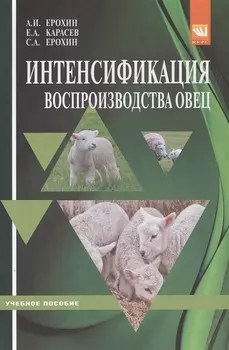 Интенсификация воспроизводства овец