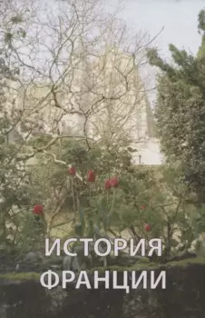 История Франции (Андреев)