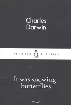 It Was Snowing Butterflies