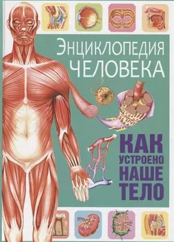 Энциклопедия человека. Как устроено наше тело