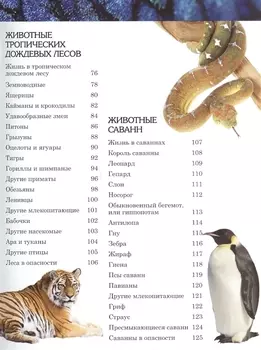 Энциклопедия чудес света