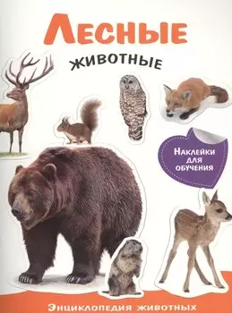 Энциклопедия животных с накл. Лесные животные