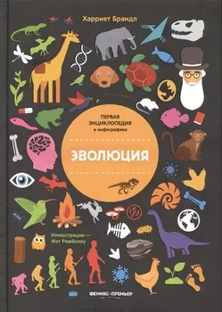 Эволюция. Инфографика