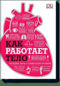 Как работает тело