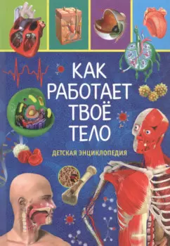 Как работает твоё тело. Детская энциклопедия