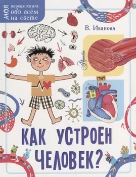 Как устроен человек?