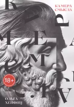 Камера смысла