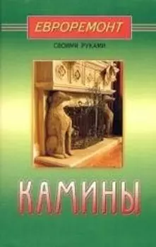 Камины (евроремонт)