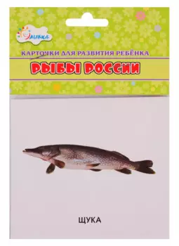 Карточки для развития ребенка "Рыбы России"