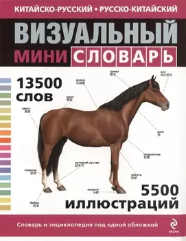 Китайско-русский русско-китайский визуальный мини-словарь