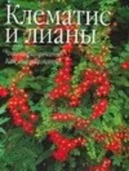 Клематис и лианы