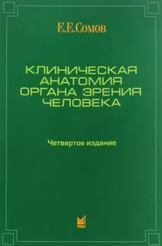 Клиническая анатомия органа зрения человека