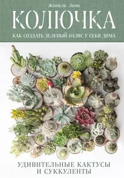 Колючка: как создать зеленый оазис у себя дома. Удивительные кактусы и суккуленты