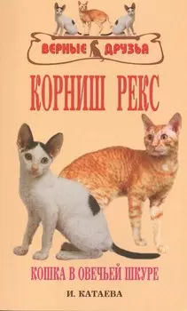 Корниш рекс. Кошка в овечьей шкуре