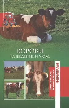 Коровы. Разведение и уход.