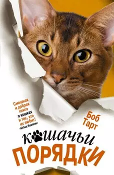 Кошачьи порядки