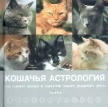 Кошачья астрология