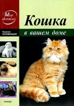 Кошка в вашем доме