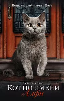 Кот по имени Алфи
