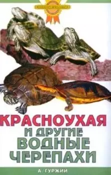 Красноухая и другие водные черепахи