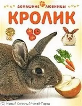 Кролик / (мягк) (Домашние любимцы). Рейнер М. (Аст-Пресс)