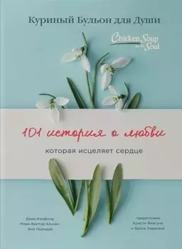 Куриный бульон для души: 101 история о любви (переплет)