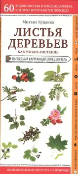 Листья деревьев. Как узнать растение. Наглядный карманный определитель