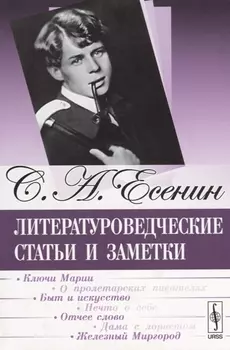Литературоведческие статьи и заметки