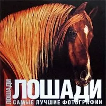 Лошади. Самые лучшие фотографии: Альбом