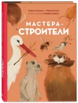 Мастера-строители