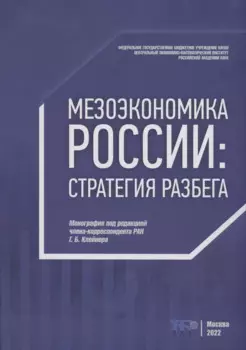 Мезоэкономика России: стратегия разбега : монография