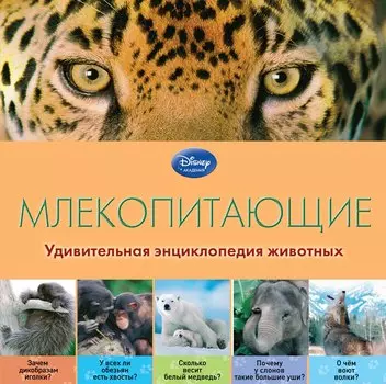 Млекопитающие